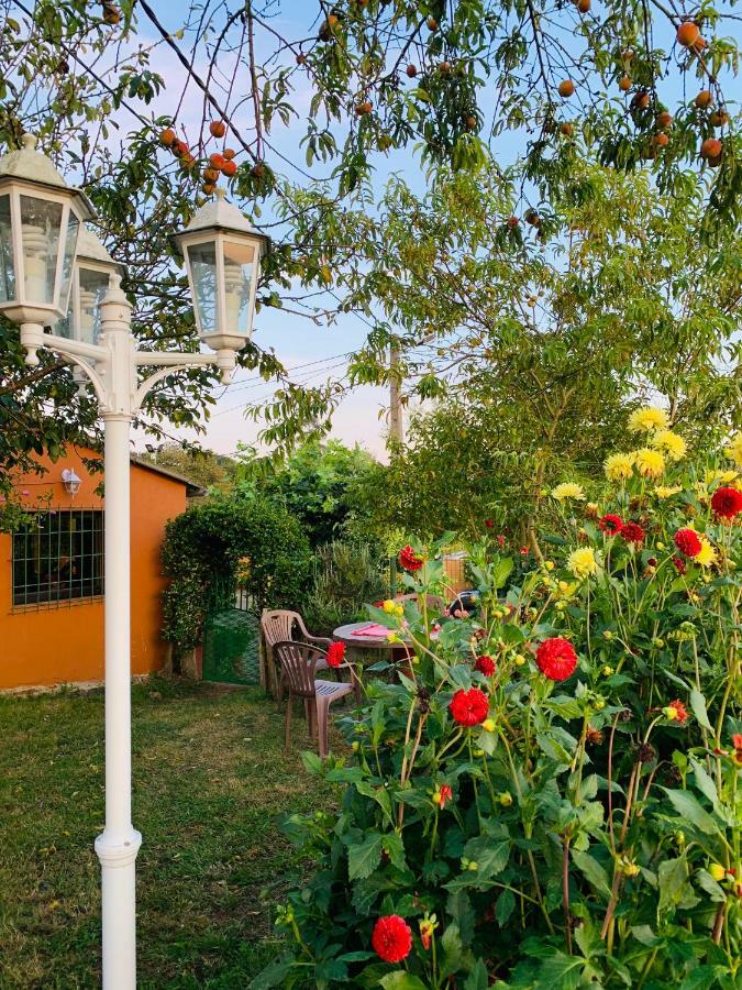 Vivienda Vacacional El Majo Siero Kültér fotó
